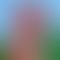 hot_ievgen