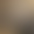 vit_42