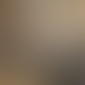 vit_46