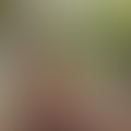 ievgen_seller_llm2